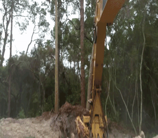 Land Clearing and Grading: Precision Work 2