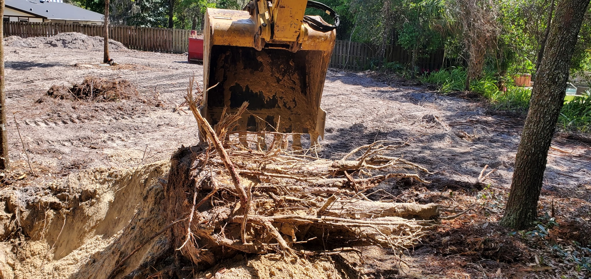 Excavator bucket removing a large tree stump and roots