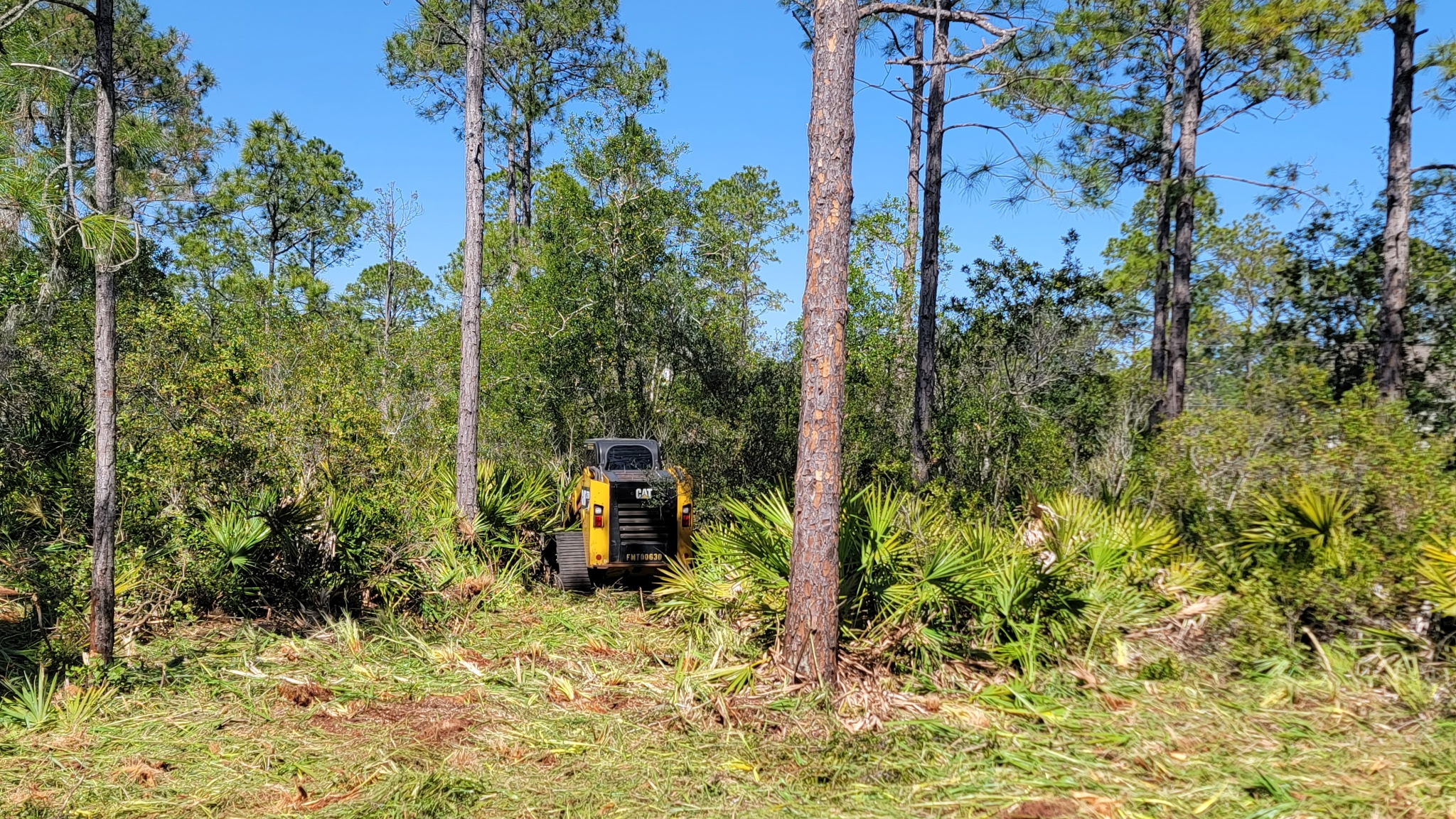 Excavator clearing overgrown palmetto and scrub on a rural Bunnell lot