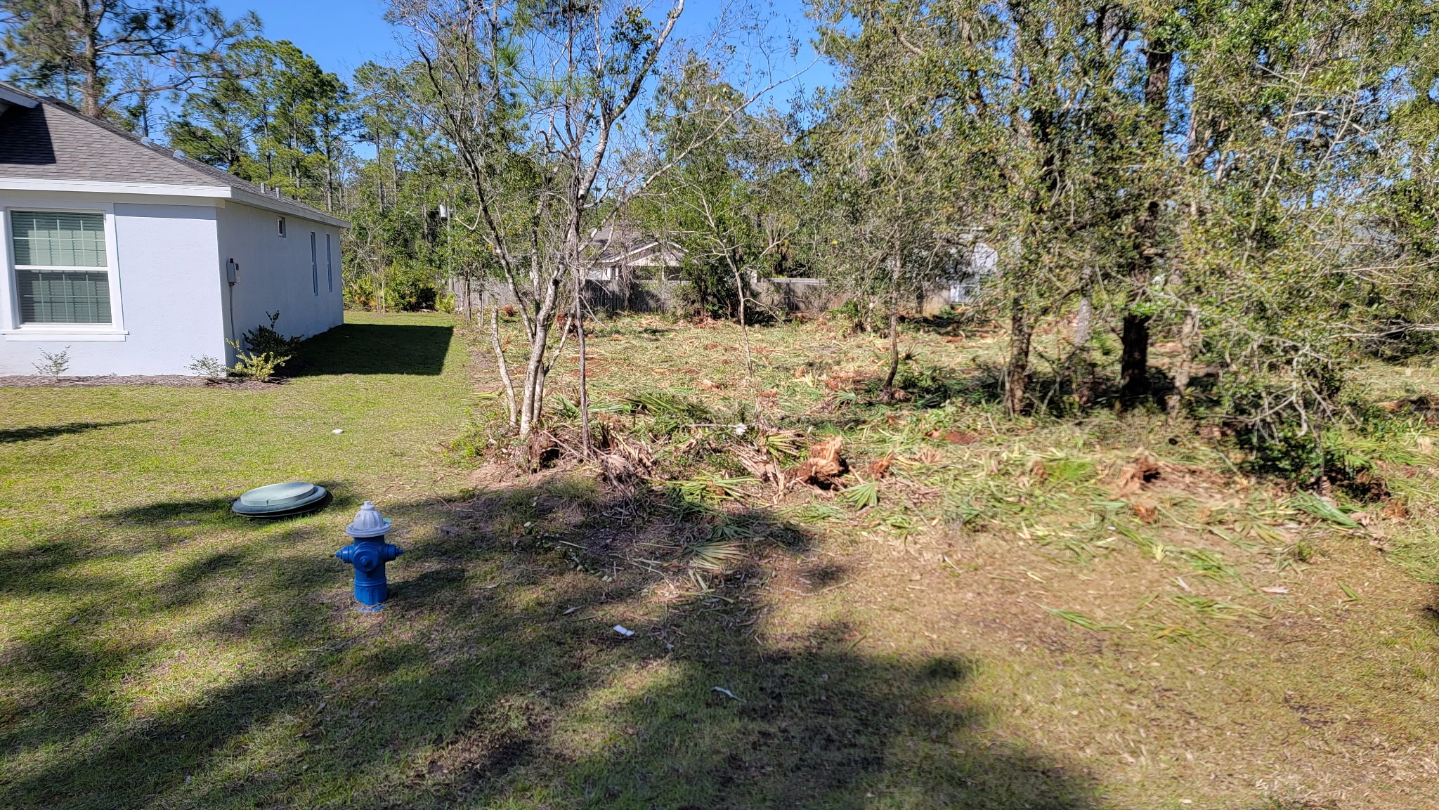 Backyard land clearing completed down to the property line
