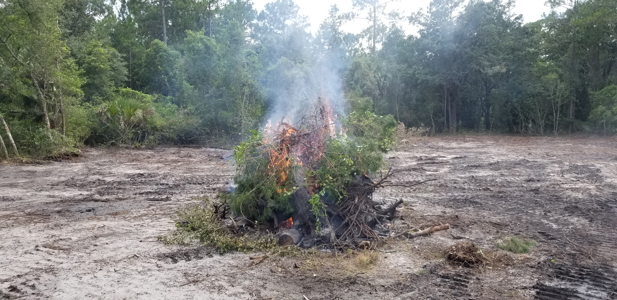 Cleared brush and debris burning at a land clearing site