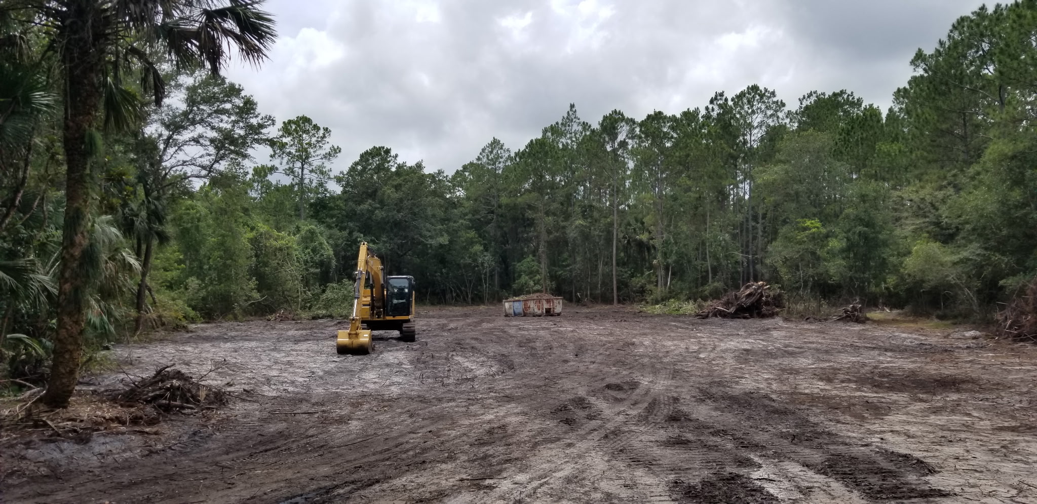 Crew removing stumps and root balls after clearing a residential lot