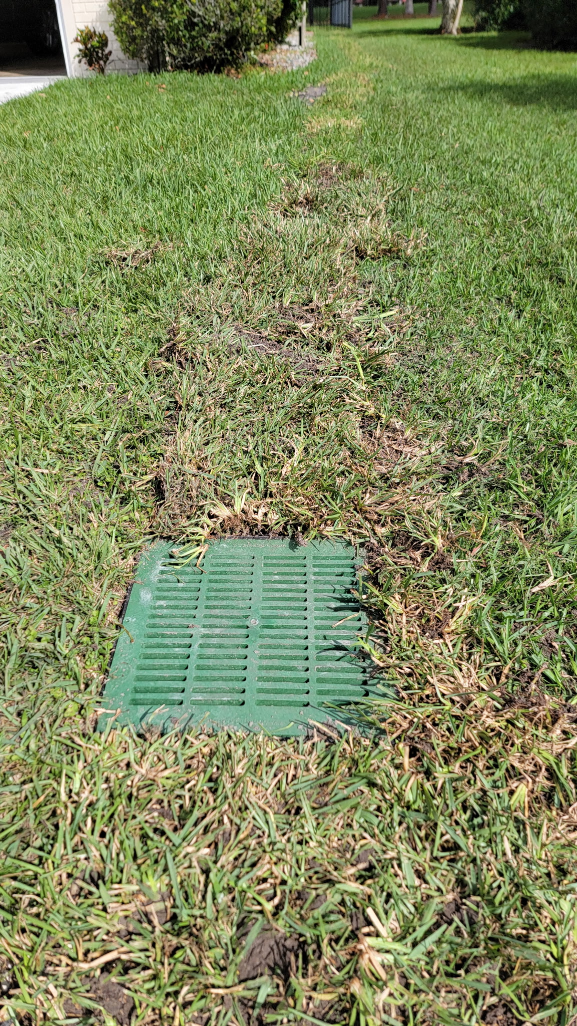French drain installation fixing a flooded yard in St. Augustine