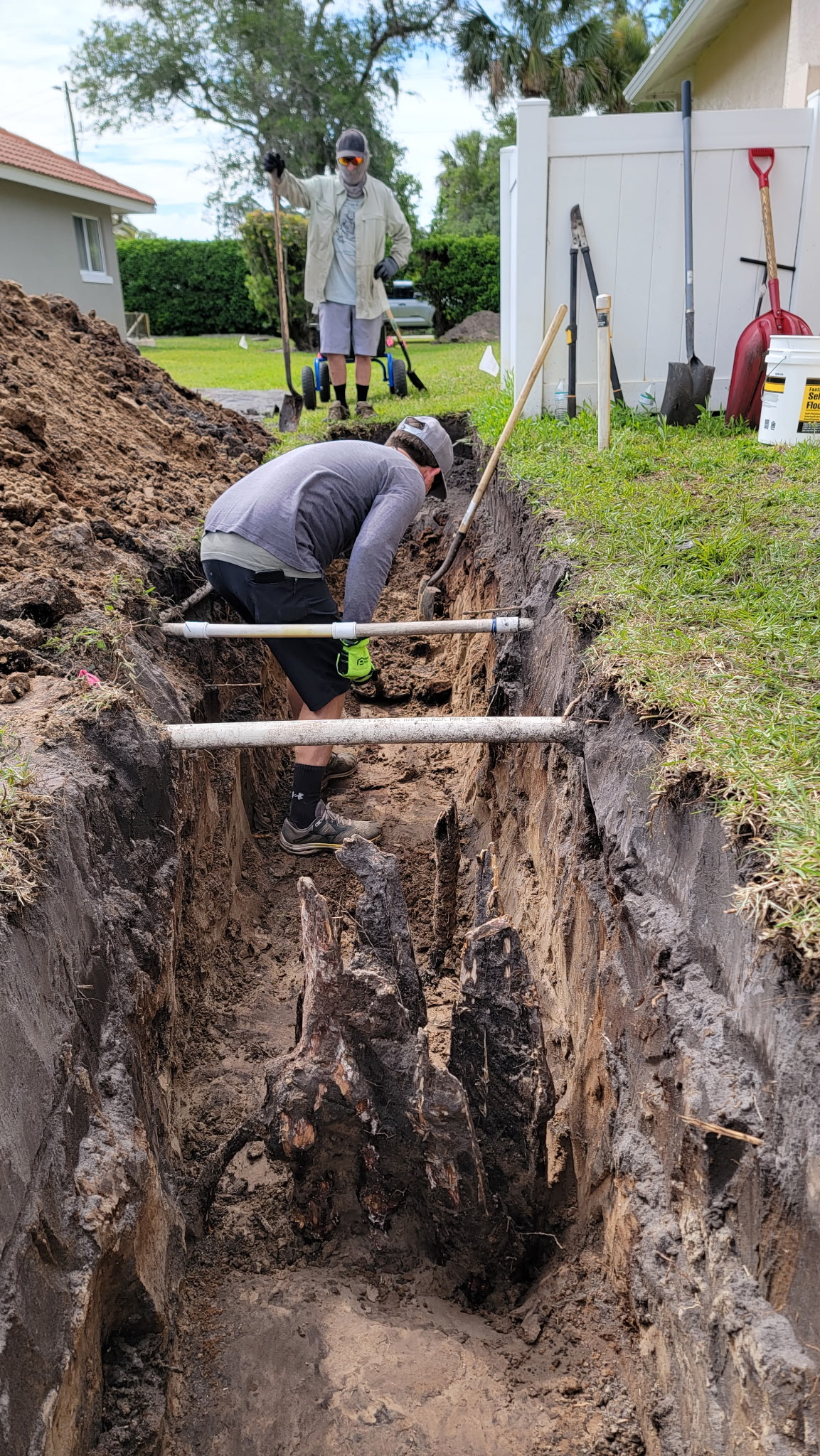 Crew hand-digging a French drain trench around tree roots