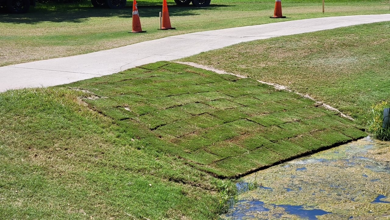 Fresh sod being laid along a golf course cart path
