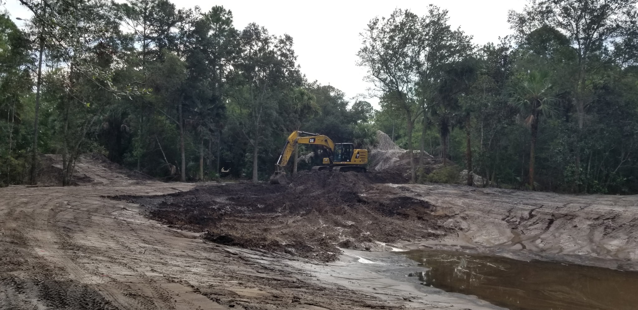 Excavator carving a pond in a wooded area