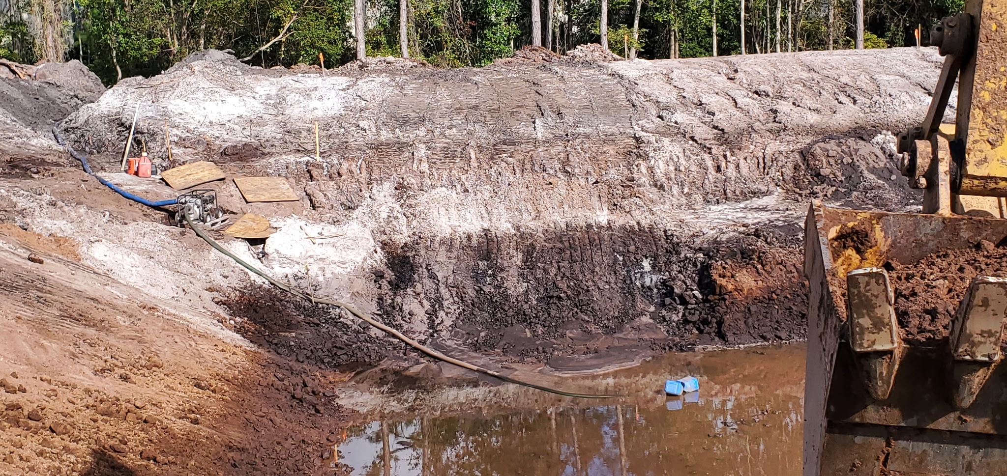 Excavator digging a backyard pond with water beginning to collect