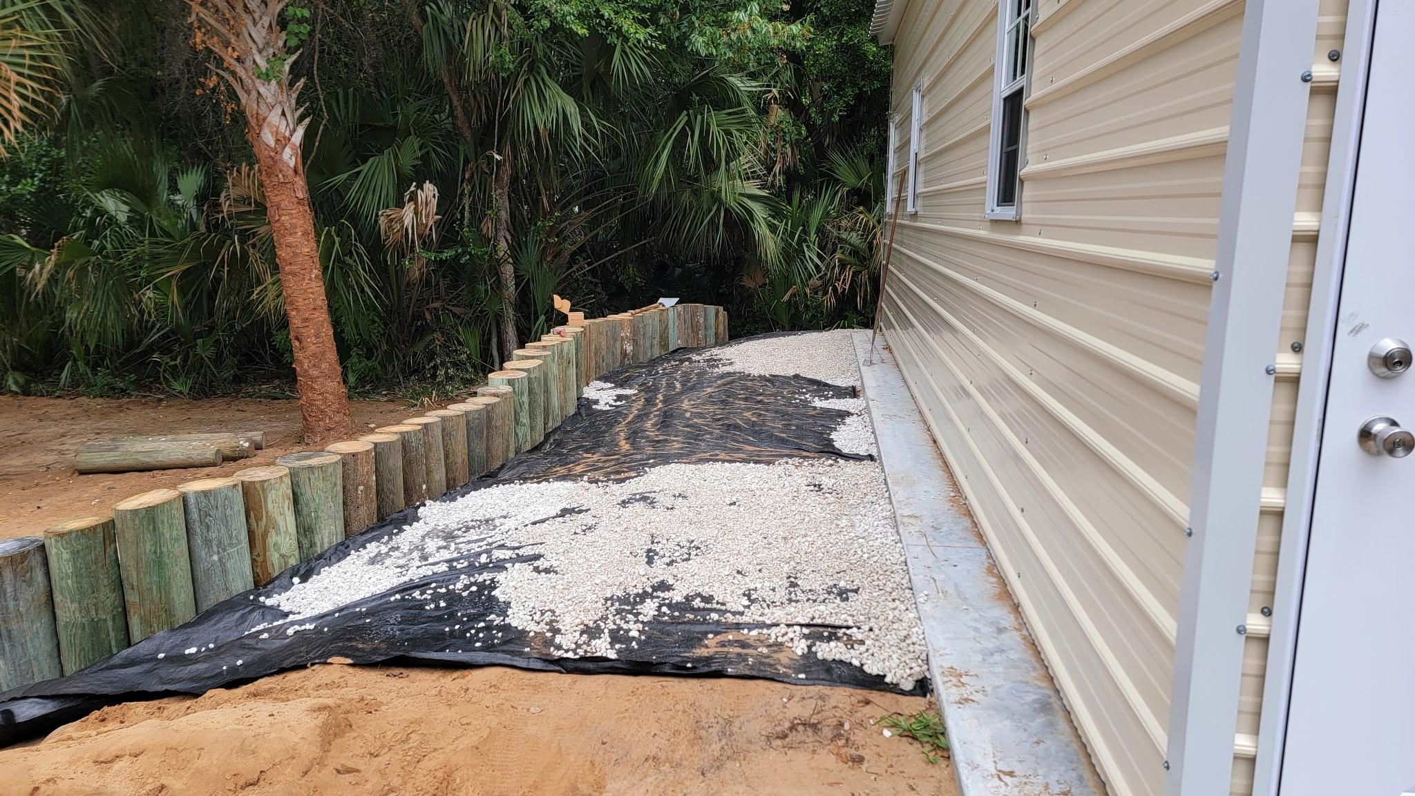 Regrading an older yard under mature trees in DeLand